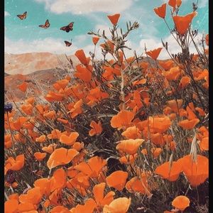 Meet your Posher, Brynn